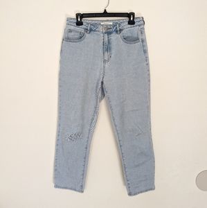 Pacsun High Waisted Mom Jean Light Wash straight leg Size 29